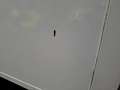 Mercedes-Benz Sprinter 514 Nieuwe dhollandia laadklep + airco Wit - thumbnail 15