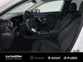 Mercedes-Benz A 200 A 200 Limo Distr.+WinterP+FahrassiP+LED+Keyless Blanc - thumbnail 6