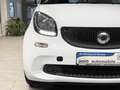 smart forTwo coupe Basis 52kW Klimaauto./Bluetooth Noir - thumbnail 12