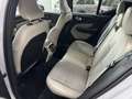 Volvo XC40 2.0 d3 Momentum awd geartronic my20 Grigio - thumbnail 12