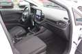 Ford Fiesta Cool & Connect 1,1 Start/Stop PDC,Spurhalteassi... Weiß - thumbnail 6