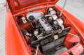 MG MGB GT MGBGT Rood - thumbnail 40