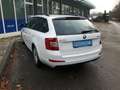 Skoda Octavia Octavia Combi 1,6 TDI 4x4 Ambition+ Ambition+ Weiß - thumbnail 2