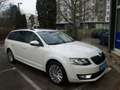 Skoda Octavia Octavia Combi 1,6 TDI 4x4 Ambition+ Ambition+ Weiß - thumbnail 1