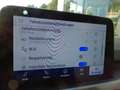 Ford Kuga Hybrid Titanium X 2,5 FHEV 4x4 NAVI/ACC/CAM Grau - thumbnail 19