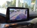 Ford Kuga Hybrid Titanium X 2,5 FHEV 4x4 NAVI/ACC/CAM Grau - thumbnail 17