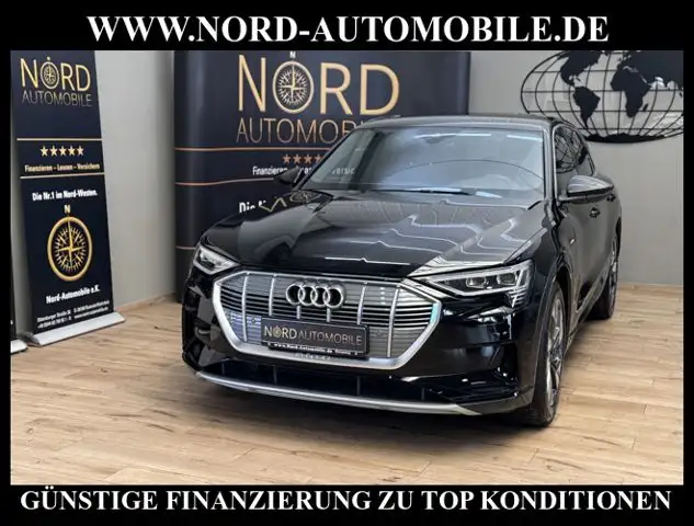 Audi e-tron 50 Advanced QU.Leder/AHK/B&O/20/Kamera Advanced
