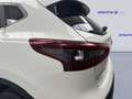 Nissan Qashqai 1.5 dCi 115 CV Business Blanc - thumbnail 7