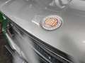 Fiat Dino 2400 (V6 Ferrari Motor / Österr. Zulassung) Silber - thumbnail 29