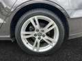 Audi A3 1.0 TFSI S-tronic Tempo/LED/Einparkhi Braun - thumbnail 15