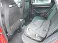 Skoda Karoq Karoq 2022 2.0 tdi evo Sportline 4x4 150cv dsg Rouge - thumbnail 12