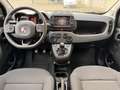 Fiat Panda Cross Hybrid Benzin/E Schwarz - thumbnail 10