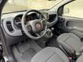 Fiat Panda Cross Hybrid Benzin/E Schwarz - thumbnail 20