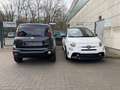 Fiat Panda Cross Hybrid Benzin/E Schwarz - thumbnail 32