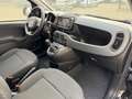 Fiat Panda Cross Hybrid Benzin/E Schwarz - thumbnail 22
