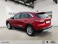 Ford Kuga Plug-In Hybrid Titanium X El. Panodach Navi Digita Rouge - thumbnail 4