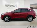 Ford Kuga Plug-In Hybrid Titanium X El. Panodach Navi Digita Rouge - thumbnail 2