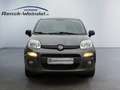 Fiat Panda Easy 1.2 PDC Klima MP3 CD met. eFH NSW Tagfahrlich Azul - thumbnail 8