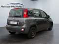 Fiat Panda Easy 1.2 PDC Klima MP3 CD met. eFH NSW Tagfahrlich Azul - thumbnail 5