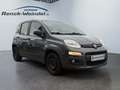 Fiat Panda Easy 1.2 PDC Klima MP3 CD met. eFH NSW Tagfahrlich Azul - thumbnail 7