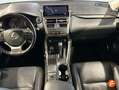 Lexus NX 300 300h Executive 4WD Weiß - thumbnail 16
