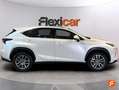 Lexus NX 300 300h Executive 4WD Blanco - thumbnail 9