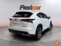 Lexus NX 300 300h Executive 4WD Blanco - thumbnail 8
