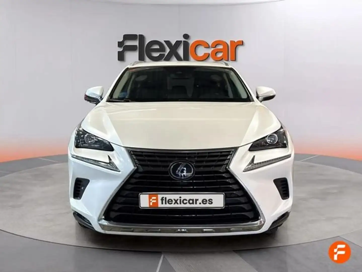 Lexus NX 300 300h Executive 4WD Weiß - 2