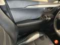 Lexus NX 300 300h Executive 4WD Weiß - thumbnail 18