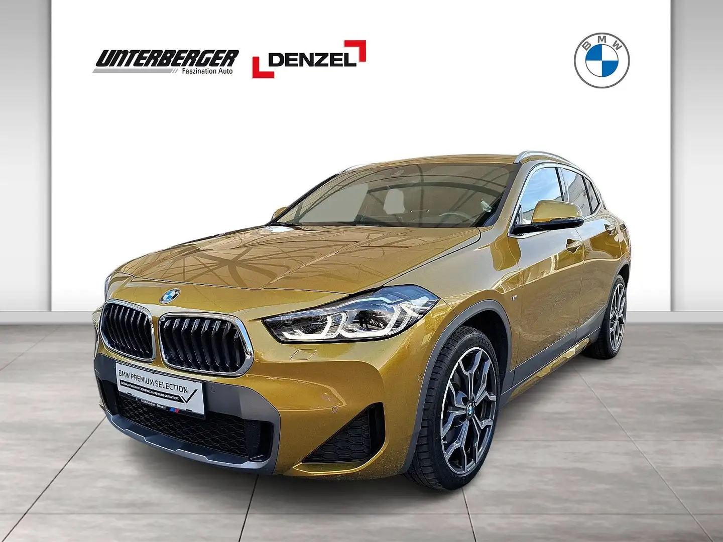 BMW X2 xDrive20d Gold - 1