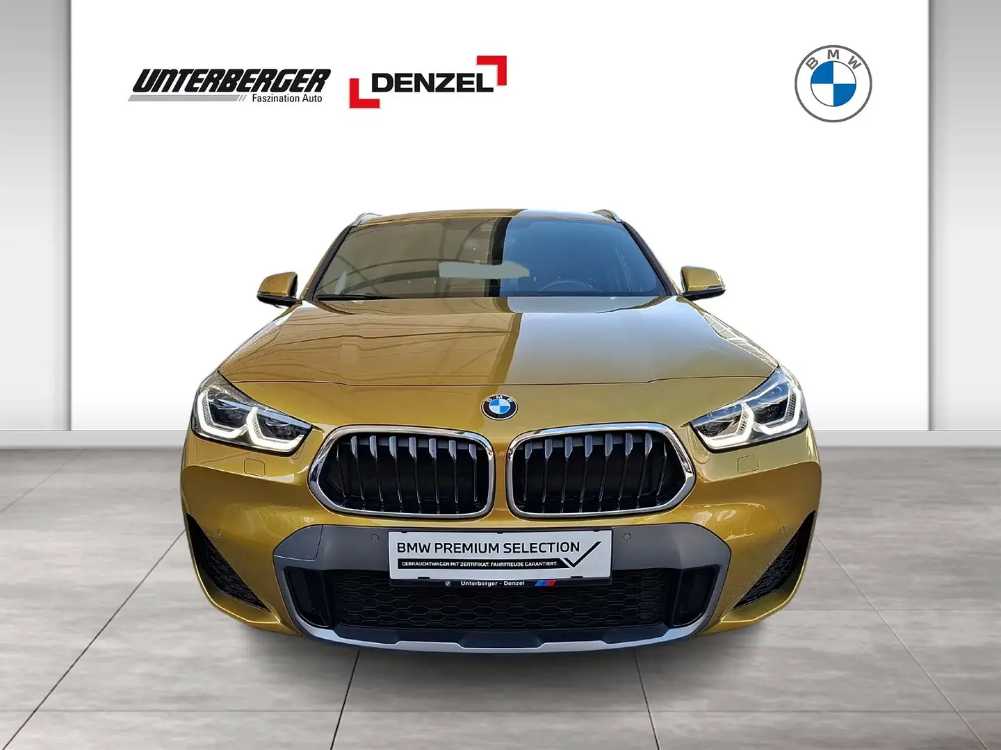 BMW X2 xDrive20d Gold - 2