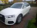 Audi Q3 basis quattro Wit - thumbnail 2