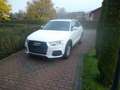 Audi Q3 basis quattro Wit - thumbnail 1