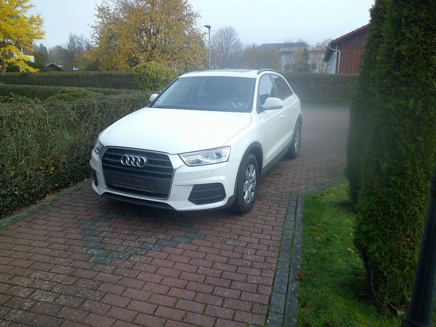 Audi Q3 basis quattro Weiß - 1
