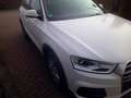Audi Q3 basis quattro Wit - thumbnail 6