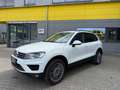 Volkswagen Touareg V6 Terrain Tech 4MOTION/LEDER/NAVI/LED/* Weiß - thumbnail 2