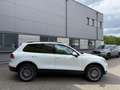 Volkswagen Touareg V6 Terrain Tech 4MOTION/LEDER/NAVI/LED/* Weiß - thumbnail 7