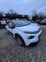 Citroen C3 C3 Pure Tech 68 FEEL- Scheckheft gepflegt - Weiß - thumbnail 2