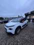 Citroen C3 C3 Pure Tech 68 FEEL- Scheckheft gepflegt - Weiß - thumbnail 3