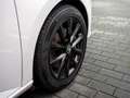 Skoda Fabia 1.0 TSI Clever Best of DSG Kam. Kessy N Weiß - thumbnail 5