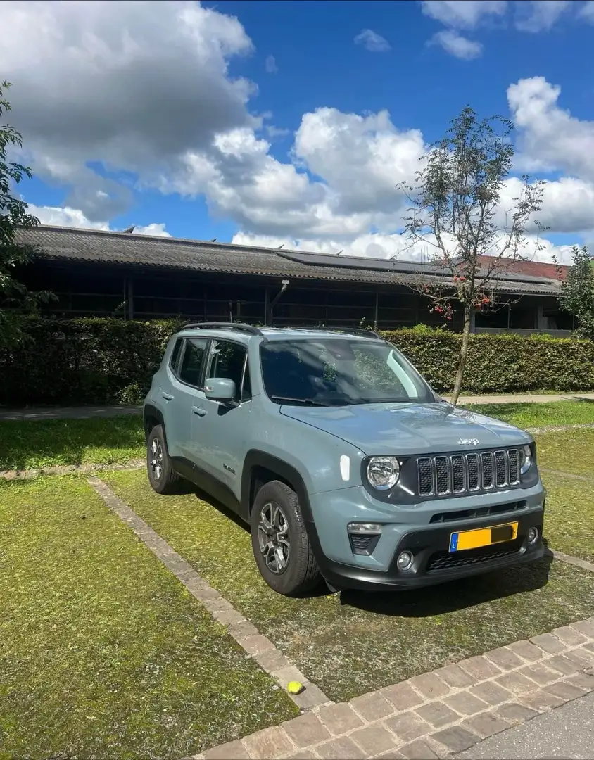 Jeep Renegade Jeep Renegade 1.0 T-GDI Longitude (EZ 05/2019) - 2