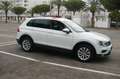 Volkswagen Tiguan 1.6 TDI SCR Business BlueMotion Technology Blanc - thumbnail 3