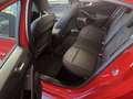 Ford Focus 1.0 Ecoboost MHEV ST-Line 125 Rojo - thumbnail 7