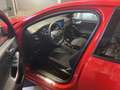 Ford Focus 1.0 Ecoboost MHEV ST-Line 125 Rojo - thumbnail 6