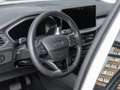 Ford Focus Titanium X 1.0 EcoBoost Hybr | Winter-Pkt. | RFK | Argento - thumbnail 25