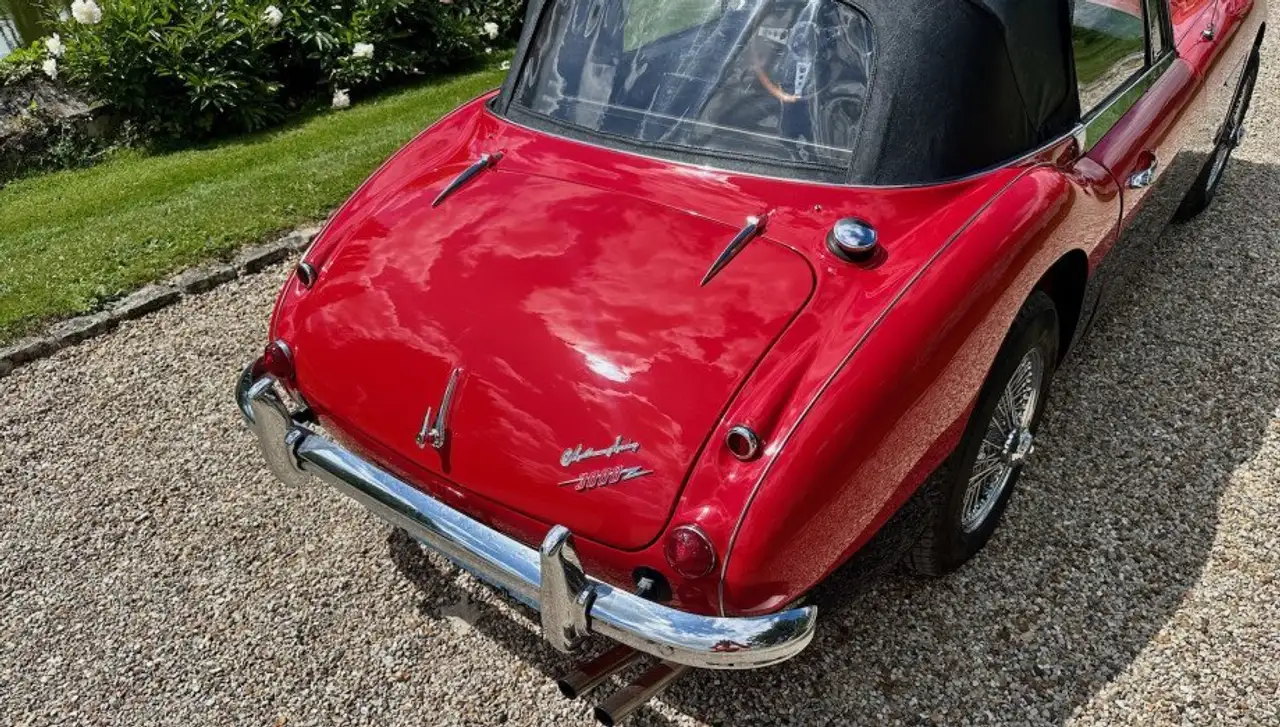 Austin-Healey 3000 Mk3 BJ8 1964, foto 6