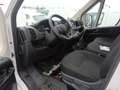 Fiat Ducato Fg. 33 2.2Mjt L2 H2 Panelado 140CV Blanco - thumbnail 7