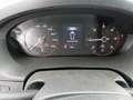 Fiat Ducato Fg. 33 2.2Mjt L2 H2 Panelado 140CV Blanco - thumbnail 8