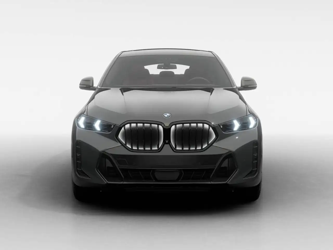 BMW X6 photo BMW X6