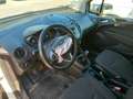 Ford Transit Courier Van 1.5TDCi Trend 100 Blanco - thumbnail 10